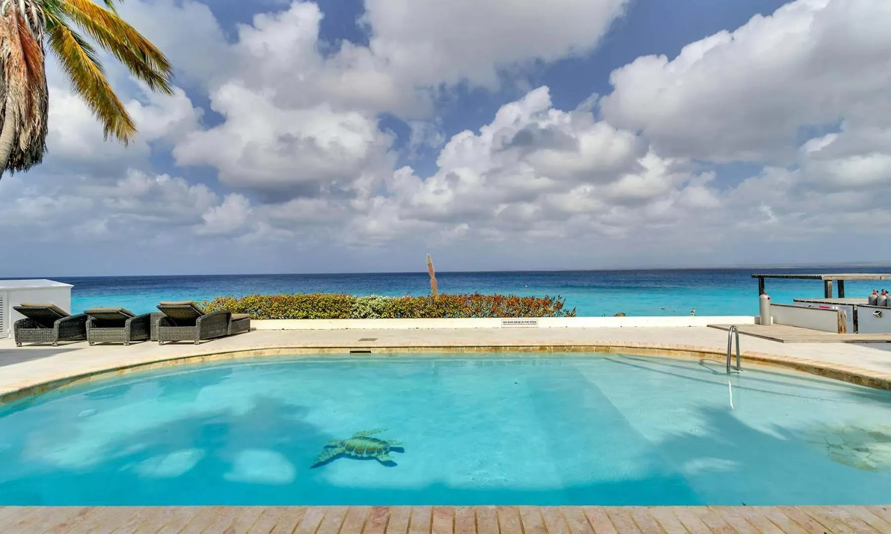 Belmar Oceanfront Apartments 21 Right On The Ocean With Diving Facilities クラレンダイク