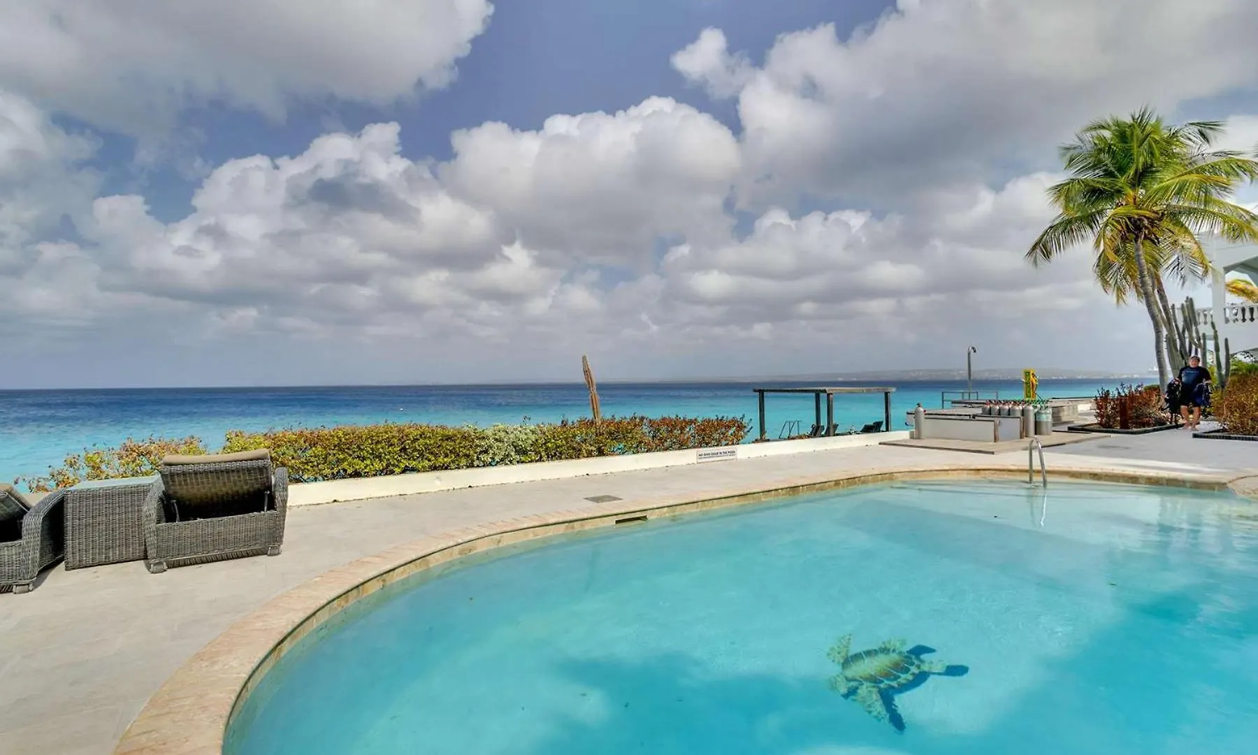 Belmar Oceanfront Apartments 21 Right On The Ocean With Diving Facilities Kralendijk  Bonaire, Santo Eustáquio e Saba