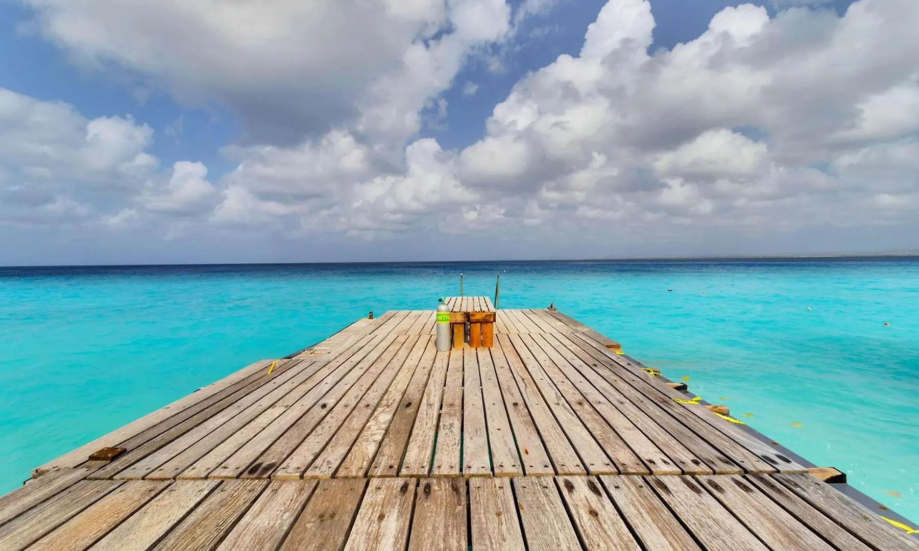 Belmar Oceanfront Apartments 21 Right On The Ocean With Diving Facilities Kralendijk   Kralendijk (Bonaire)