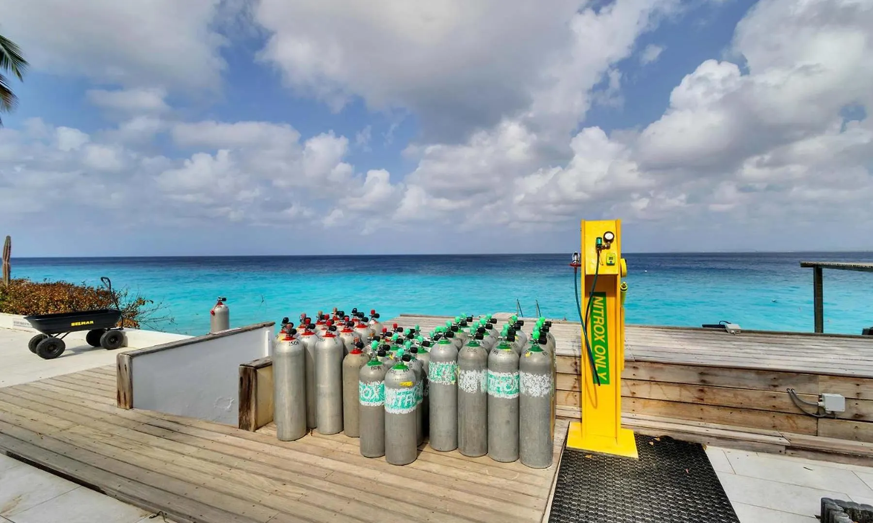 Belmar Oceanfront Apartments 21 Right On The Ocean With Diving Facilities Kralendijk  Bonaire, Santo Eustáquio e Saba